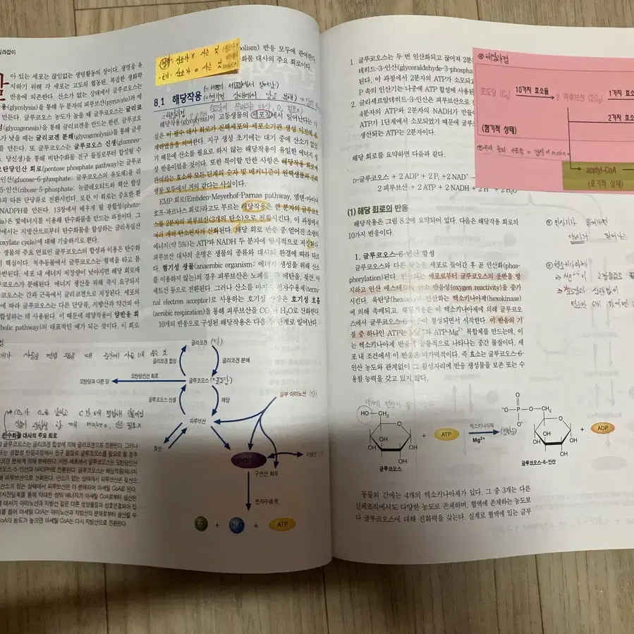 생화학 길라잡이