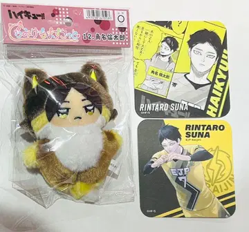 하이큐 치미케모모마즈코토 카쿠나 윤타로 카쿠나 V 리그 아트 코스터