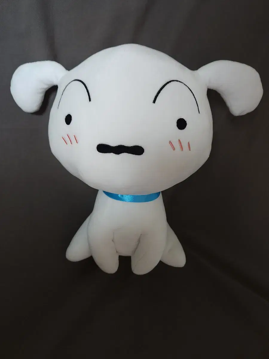 짱구는못말려  흰둥이 입니다 25cm