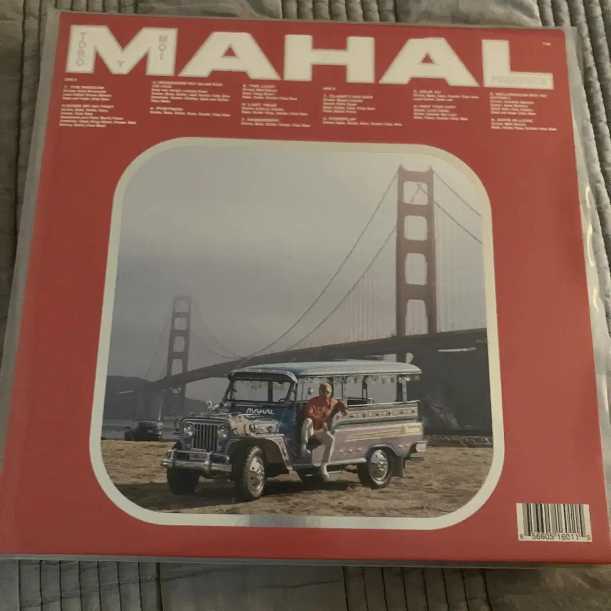 토로 이 모아(toro y moi) mahal LP