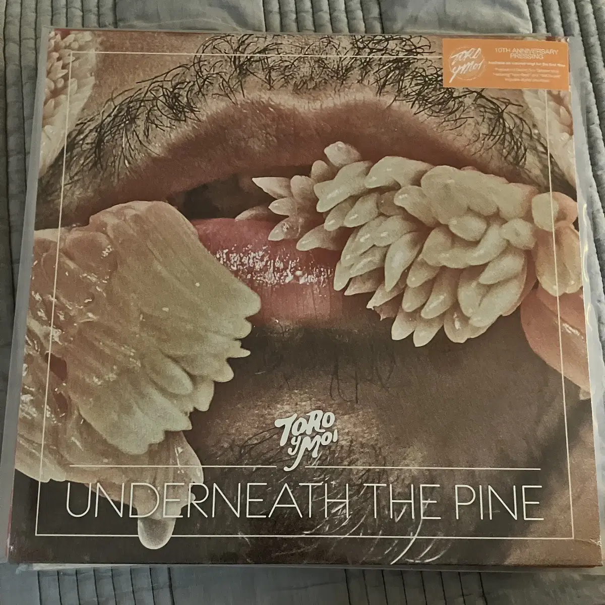 토로이모아(toro y moi) underneath the pine lp