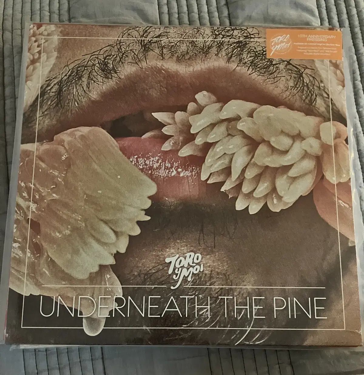 토로이모아(toro y moi) underneath the pine lp