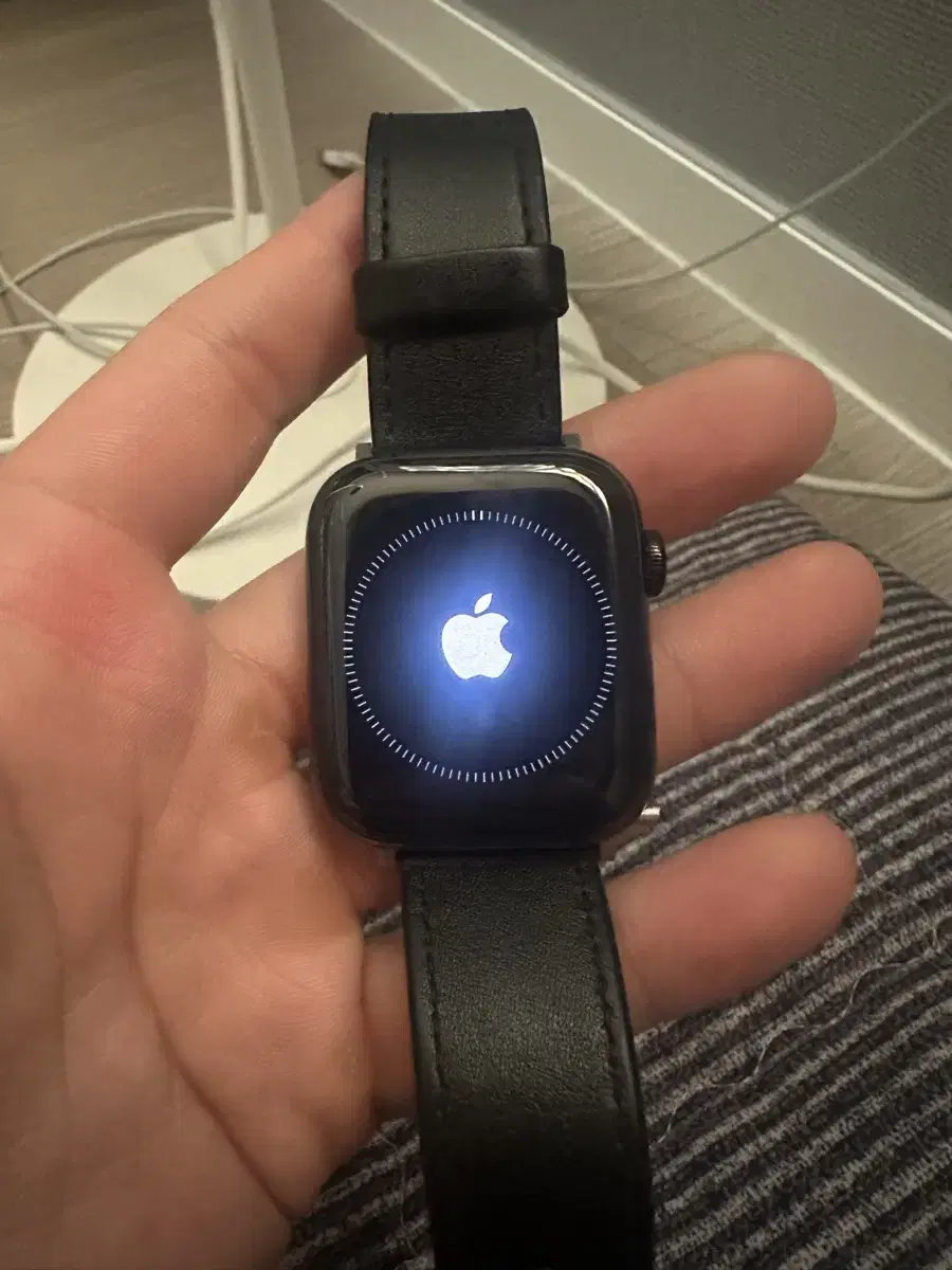 Apple Watch 5 Stainless Steel 44mm Sg