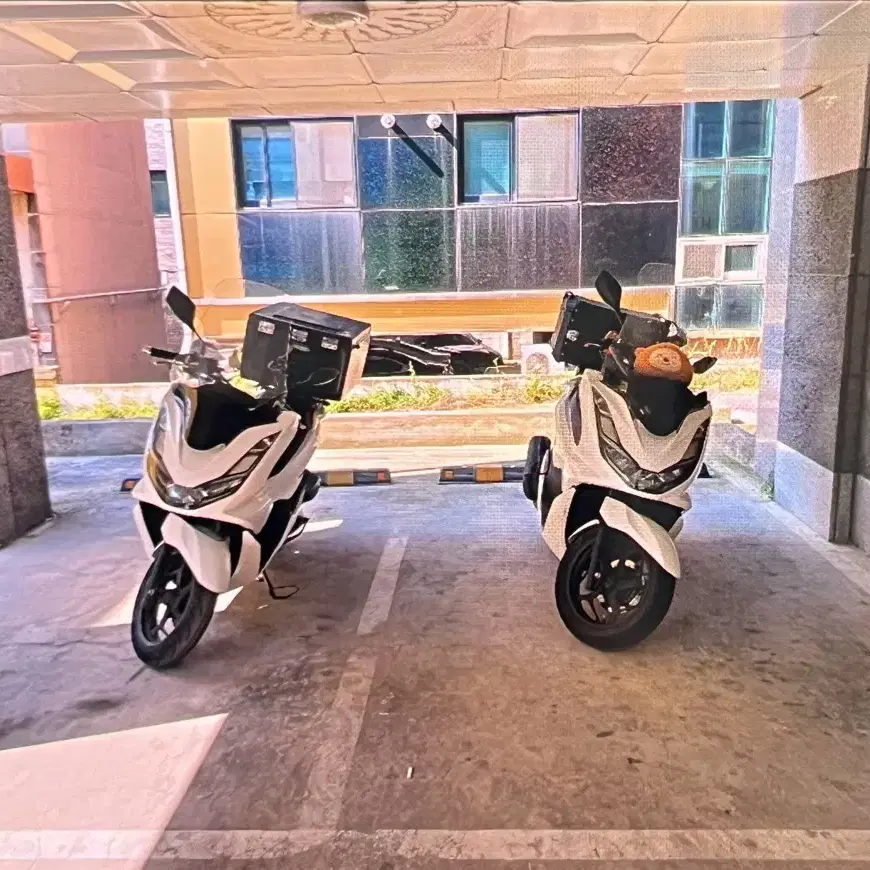 Pcx125 abs 21년식 팝니다