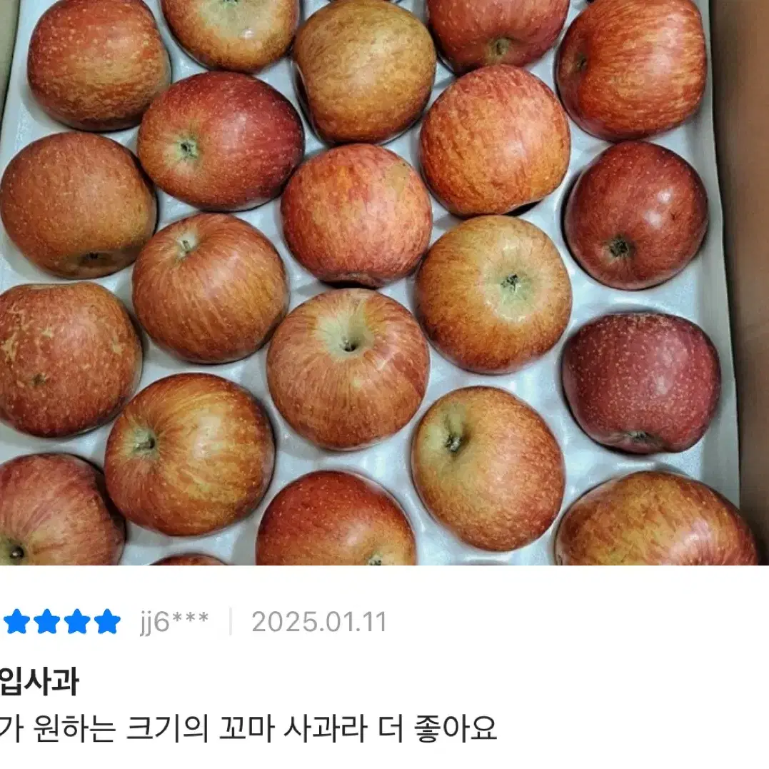 경북 햇사과 부사 가정용 10kg 46-52과