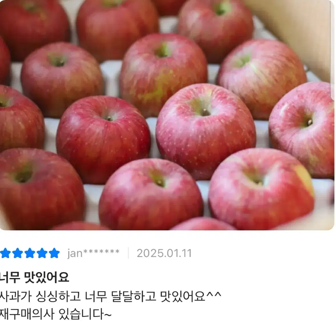 경북 햇사과 부사 가정용 10kg 46-52과