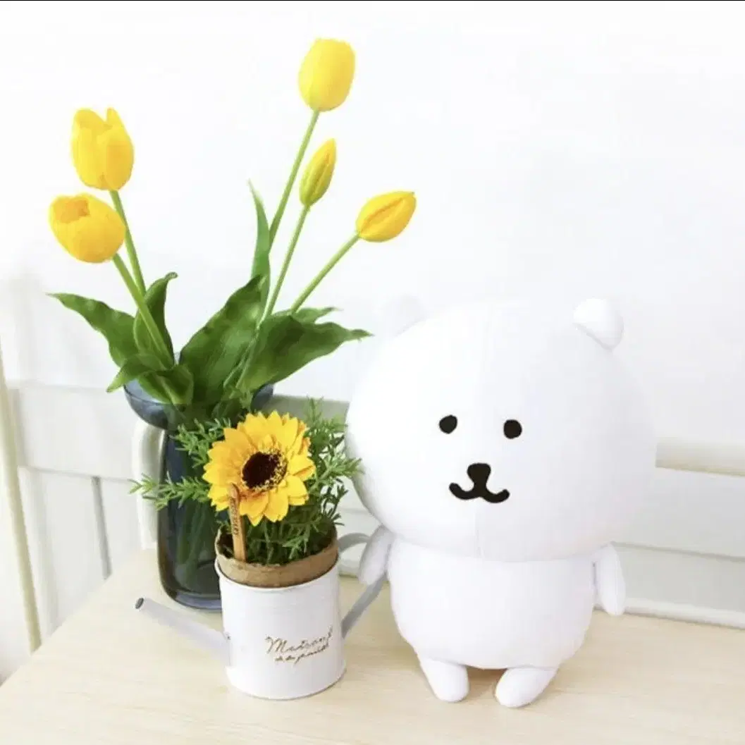 정품 농담곰 25cm 중형m 인형(택있음)