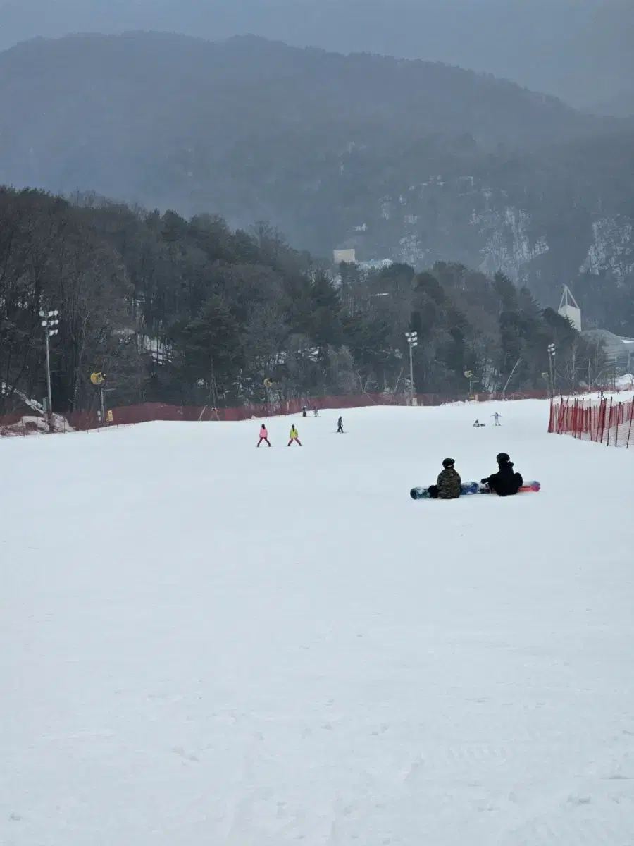 휘닉스파크 리프트권 평일 4시간