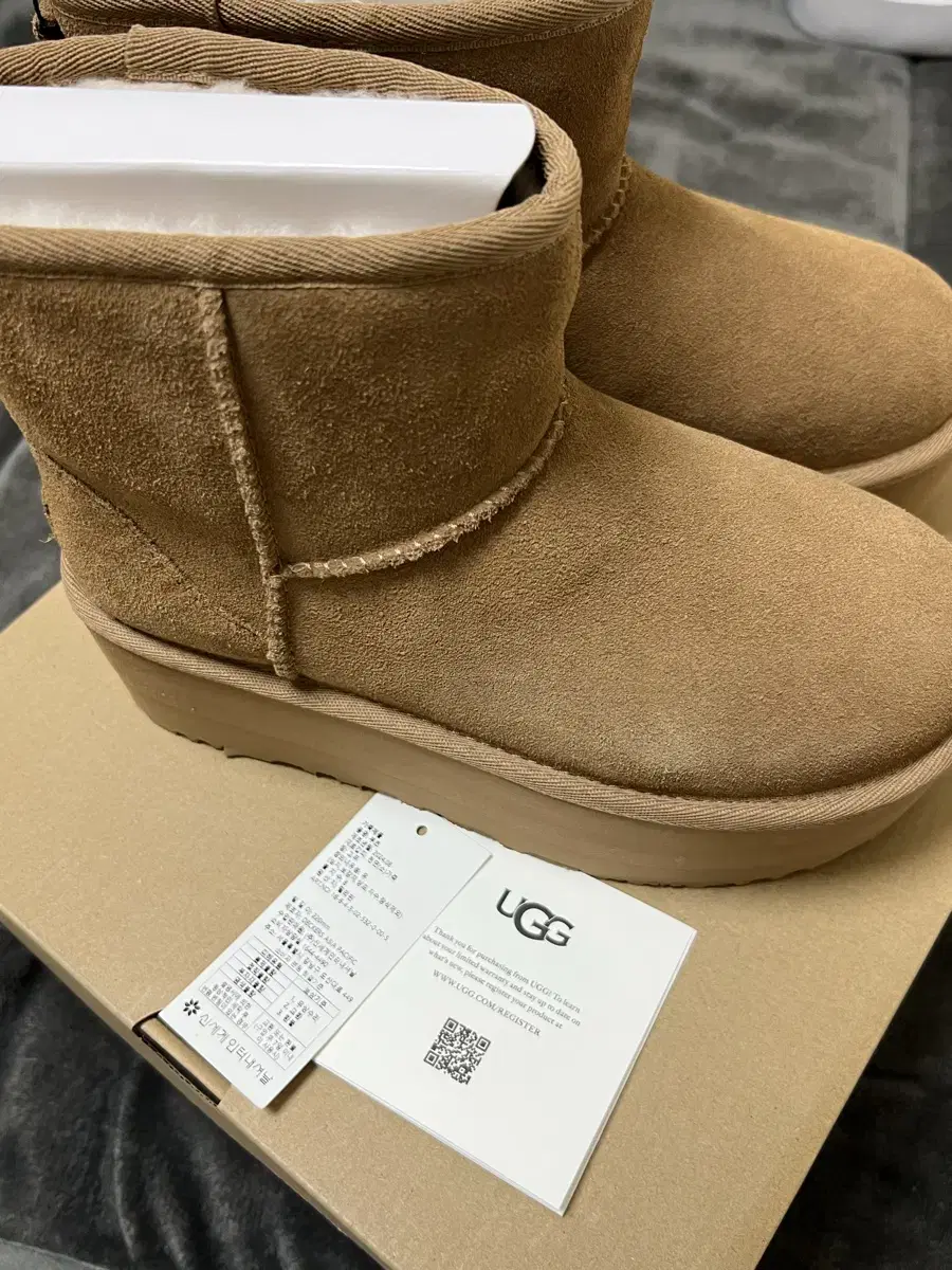 ugg 클래식 미니 플랫폼 부츠 체스트넛 5W