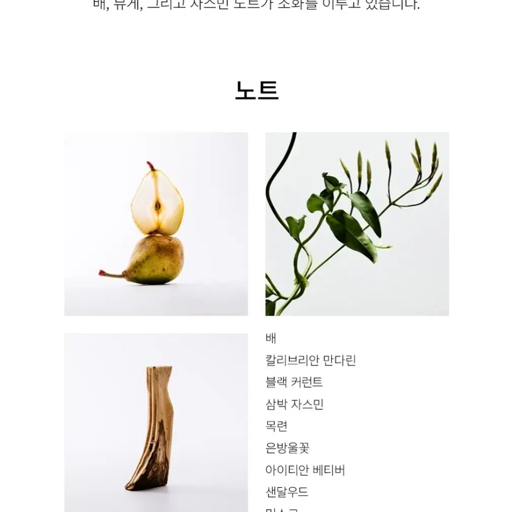 추후수령)로에베 아이레 수틸레사 EDT 50ml