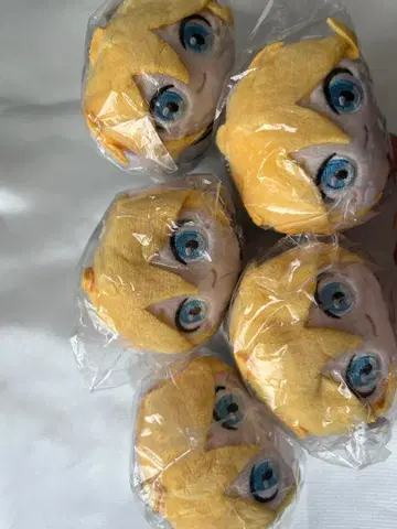 카게오네 렌 포테코로 5종 세트