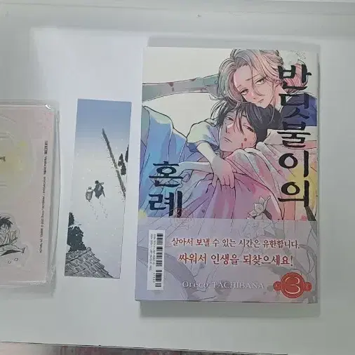 [급전]반딧불이의 혼례 3권