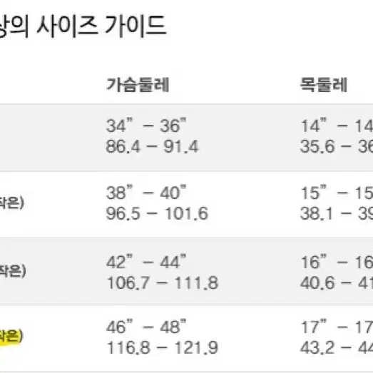 폴로 스트라이프 옥스퍼드 셔츠 (블루, 클래식핏) 팝니다