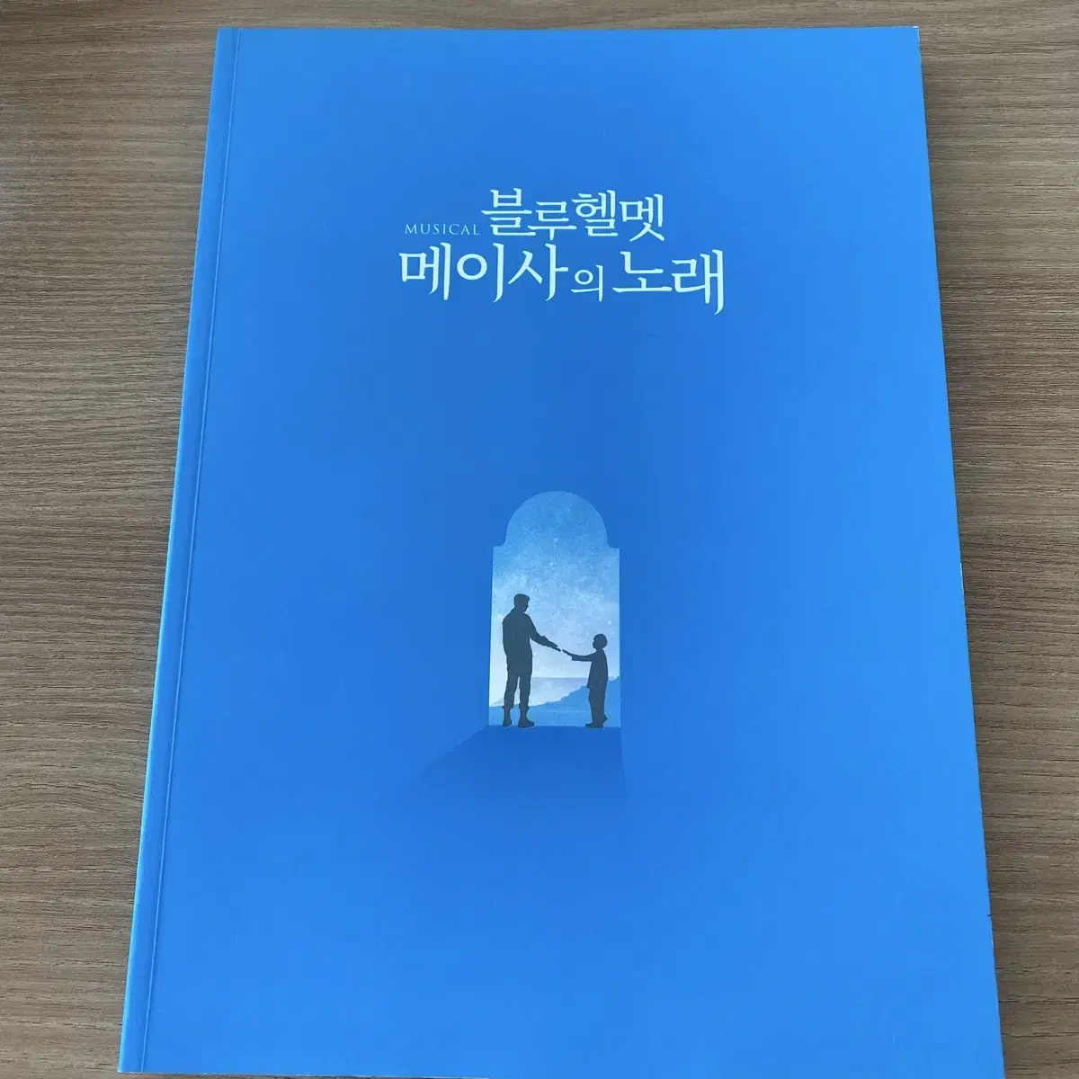 뮤지컬 블루헬멧 메이사의 노래 프로그램북