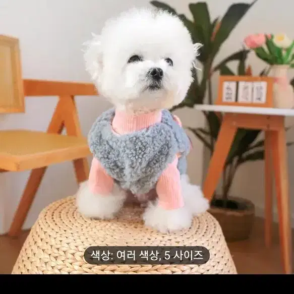 털 조끼