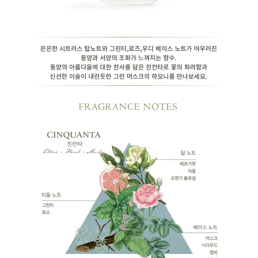 산타마리아노벨라 친칸타 100ml