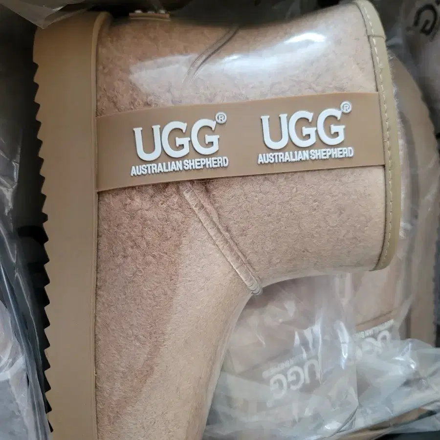 UGG 코티드 클래식 AS3031 40