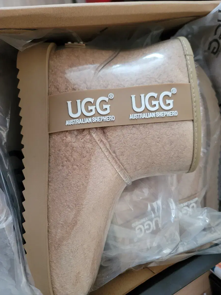 UGG 코티드 클래식 AS3031 40