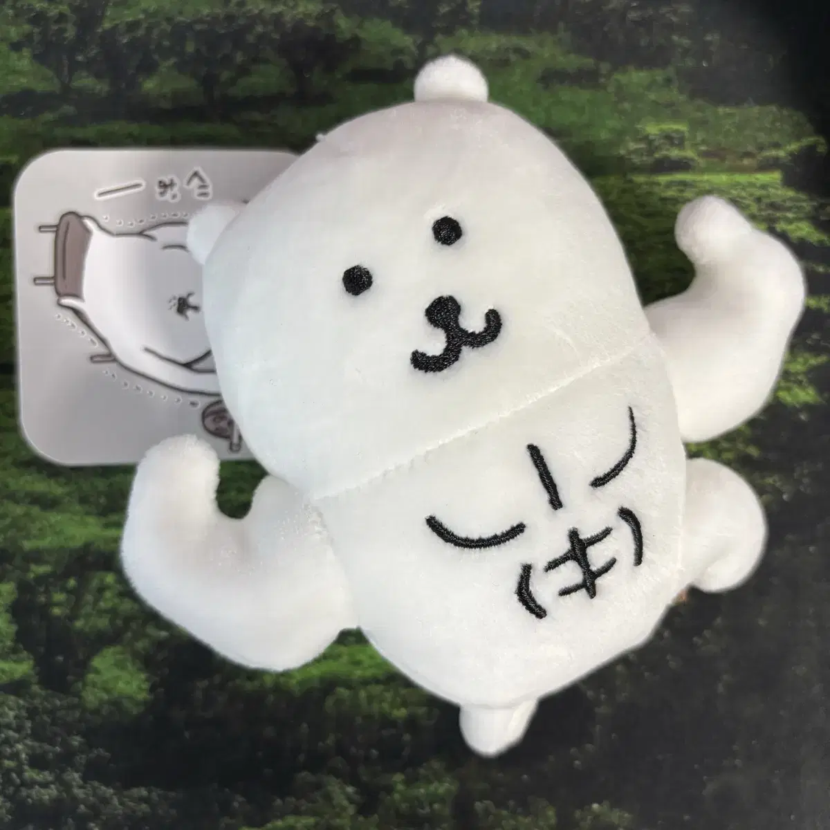 농담곰 인형 근육곰 양도