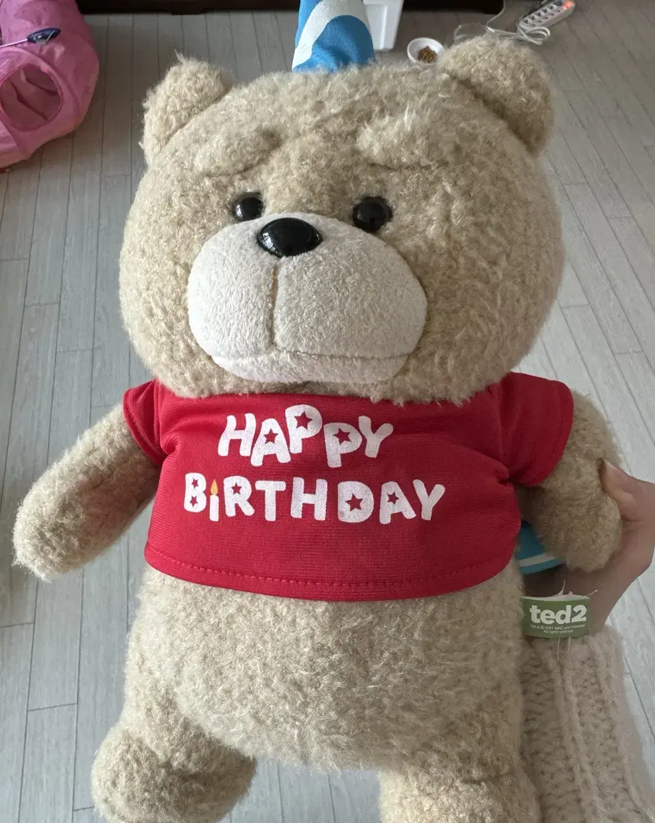 ted2 19곰 테드 생일 축하 고갈모자 테디베어 곰인형 30cm