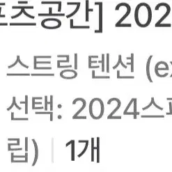 2024헤드 스피드mp 3그립 테니스라켓 팝니다