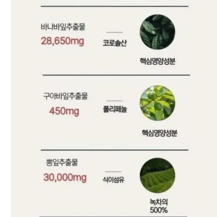 발효여주분말