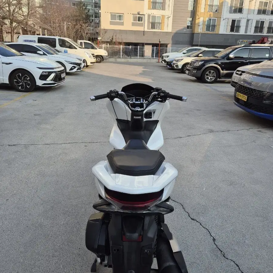 혼다 PCX 125 더뉴모델 19년식 경정비 점검다된차량 팝니다.