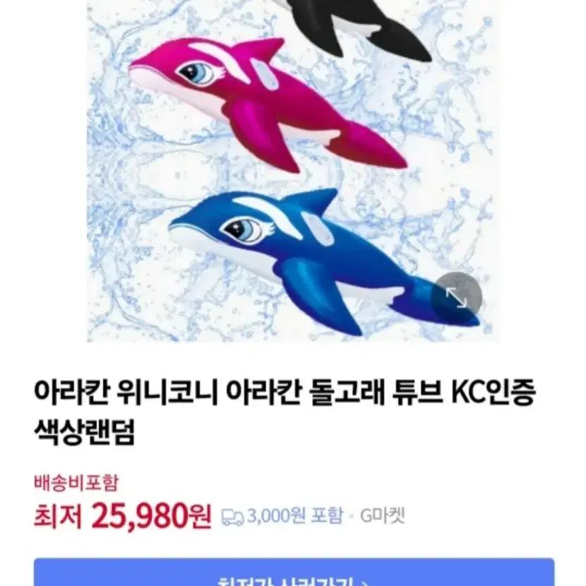 아라칸 돌고래 튜브 핑크