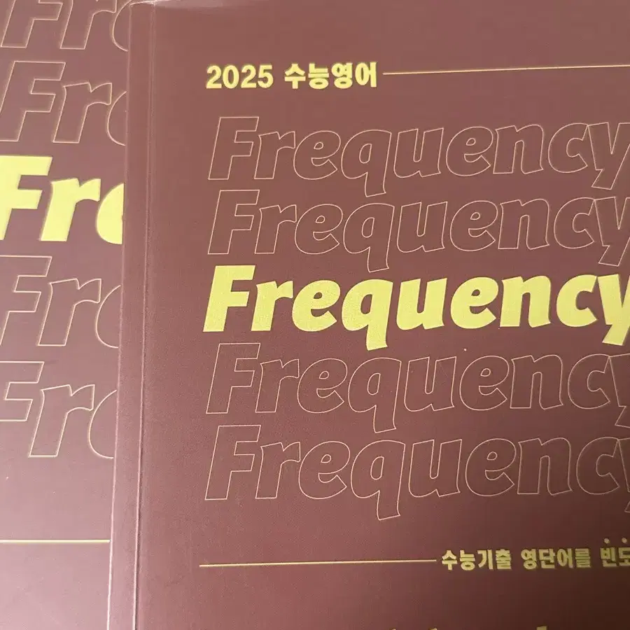 션티 frequency 미니북포함