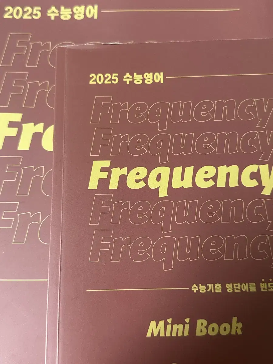 션티 frequency 미니북포함