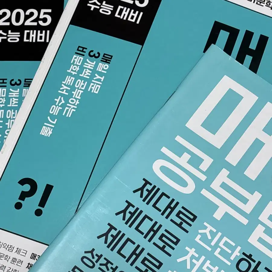 2025 수능 대비 매삼비