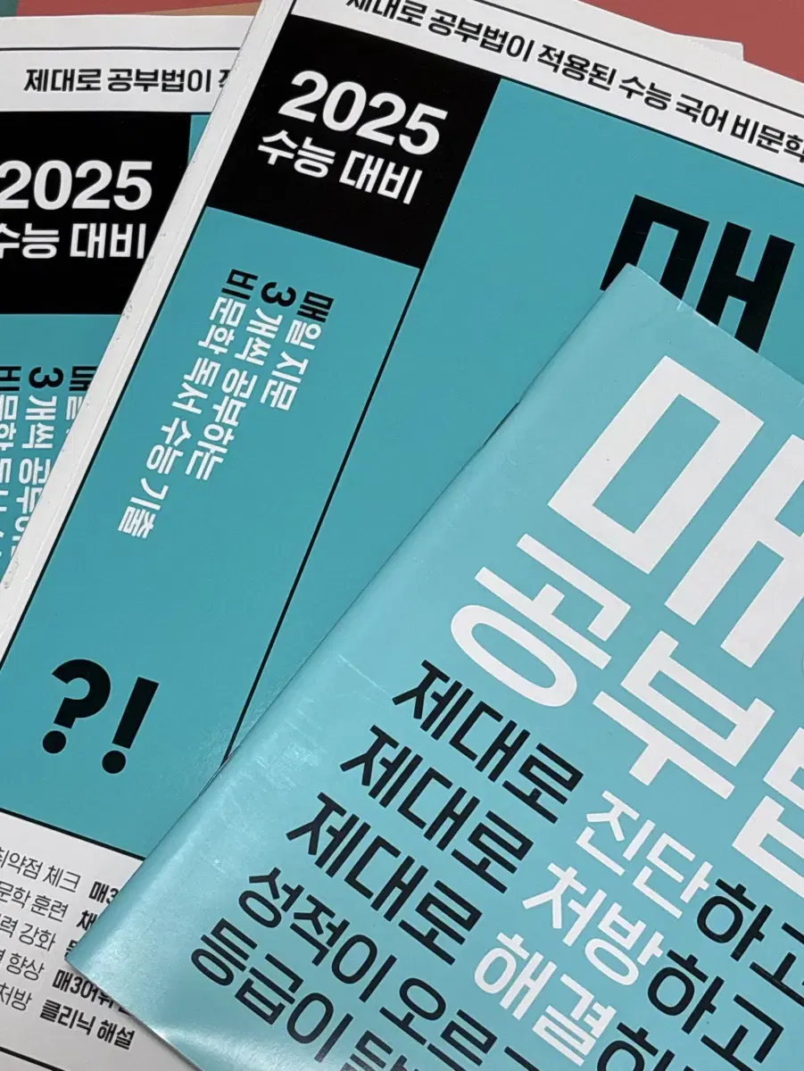 2025 수능 대비 매삼비