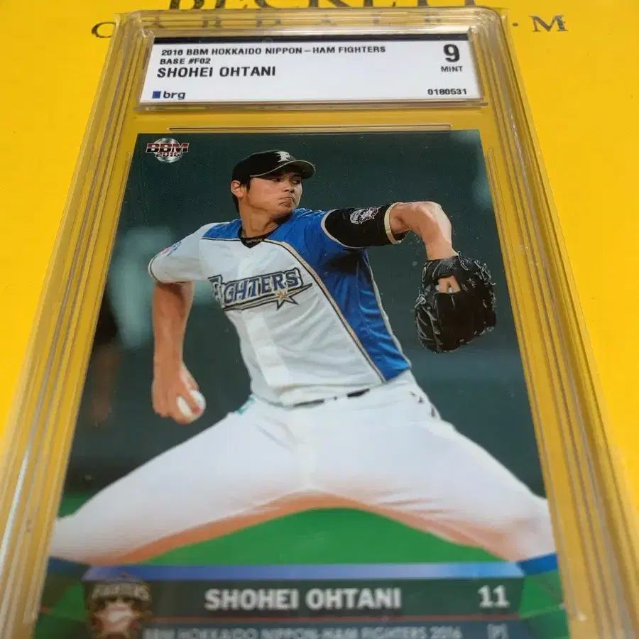 2016 BBM SHOHEI OHTANI 쇼헤이 오타니 카드 BRG 9