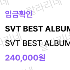 세븐틴 SVT BEST 앨범 이즈위 영통팬싸 F버전 포카 분철