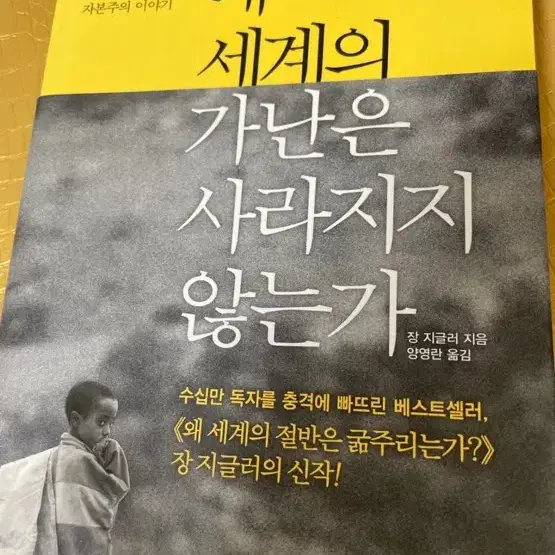 왜 세계의 가난은 사라지지 않는가 책