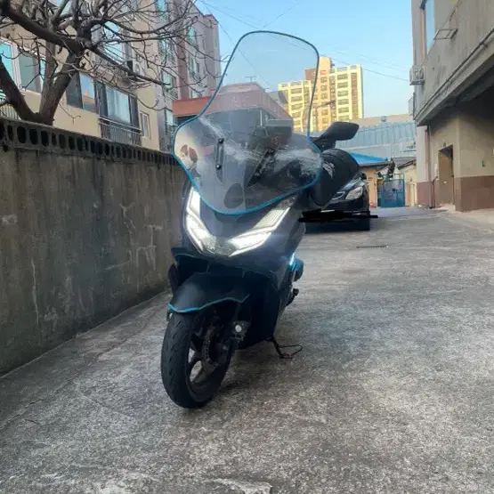 21년식 pcx CBS