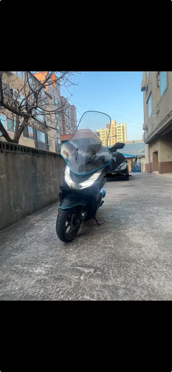 21년식 pcx CBS