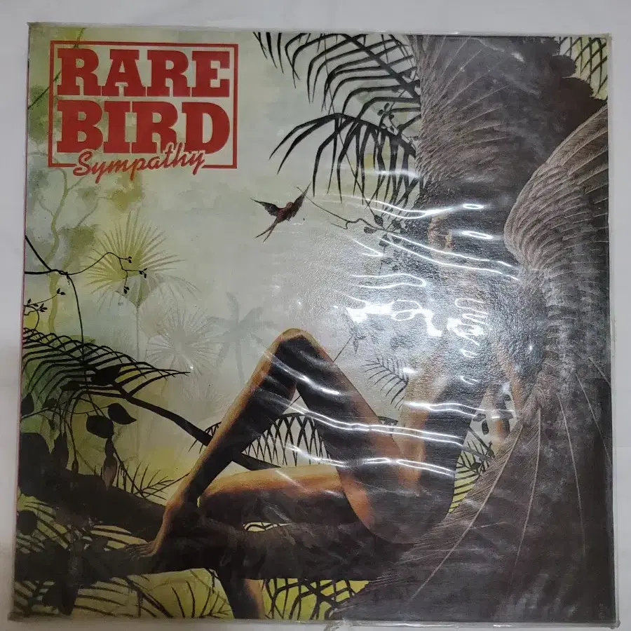 RARE BIRD LP 미개봉