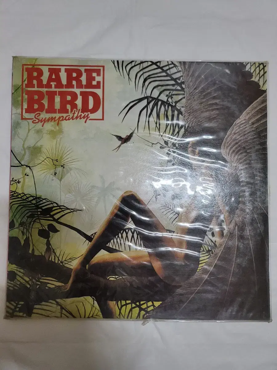 RARE BIRD LP 미개봉