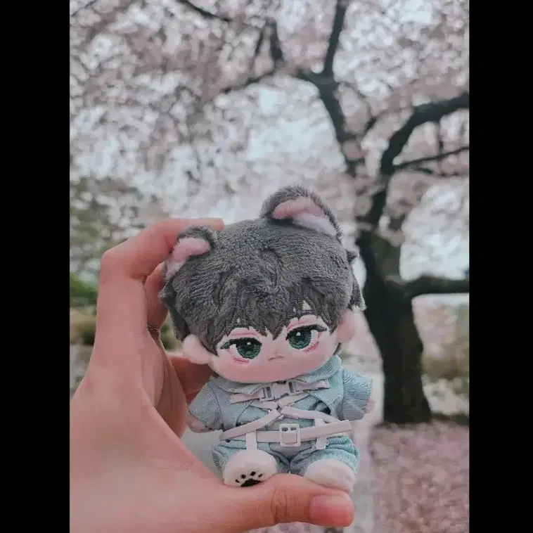 플레이브 하민 인형 와냥이 양도