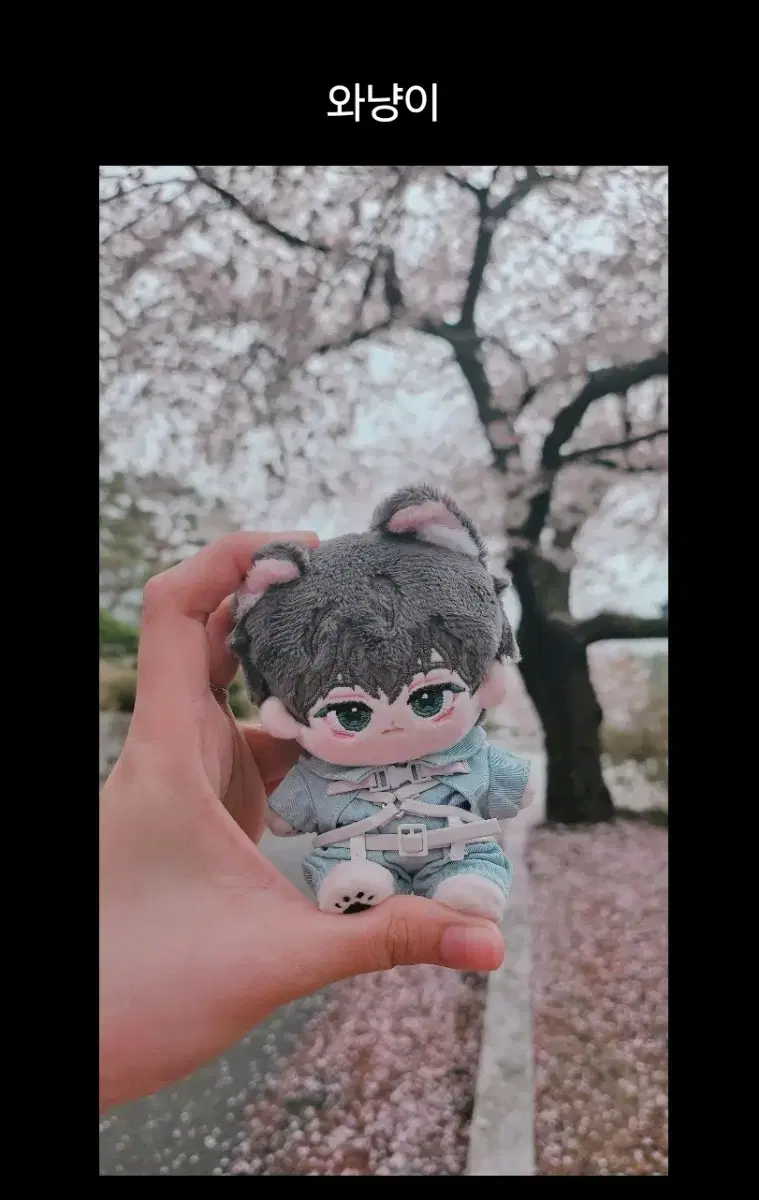 플레이브 하민 인형 와냥이 양도