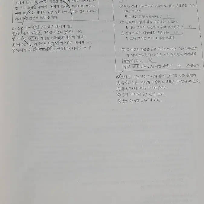 2024 강기분 강민철 언매 수능국어