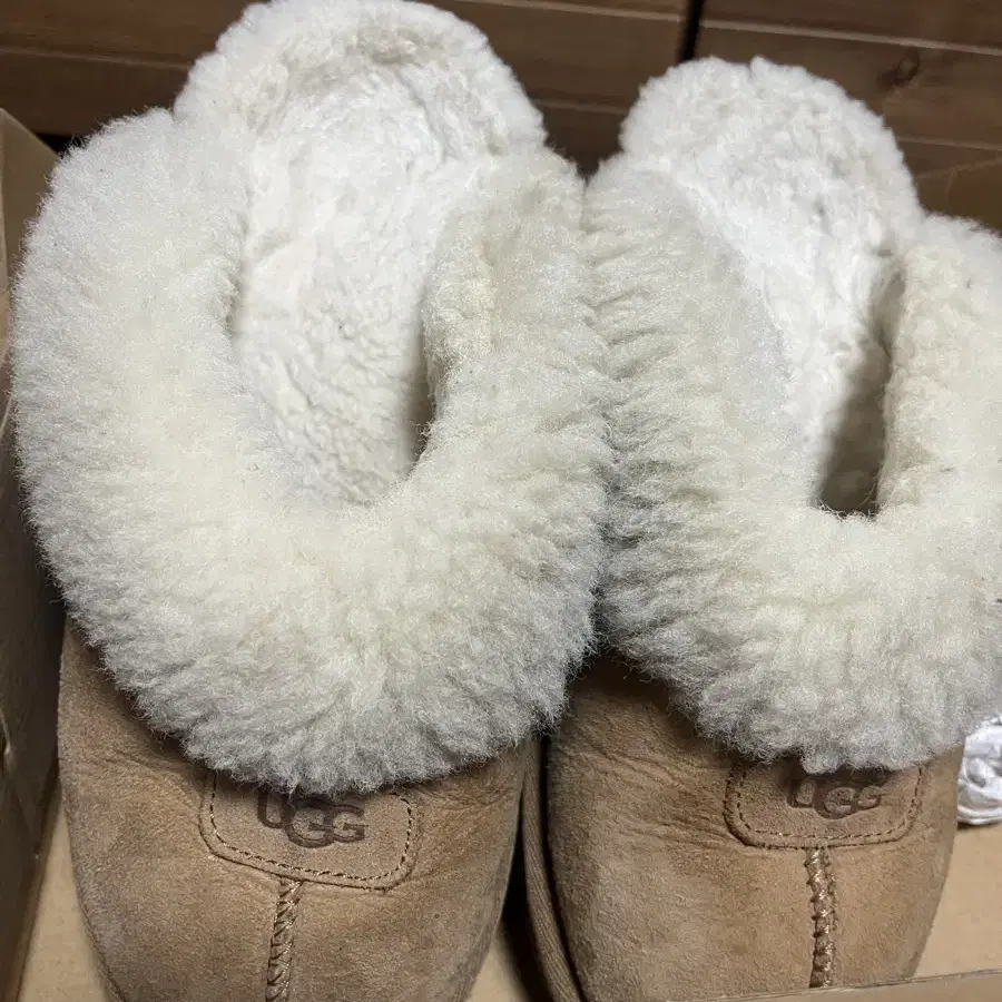 Ugg 어그 코케트