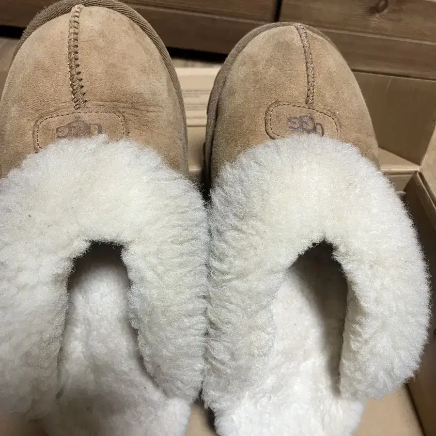 Ugg 어그 코케트