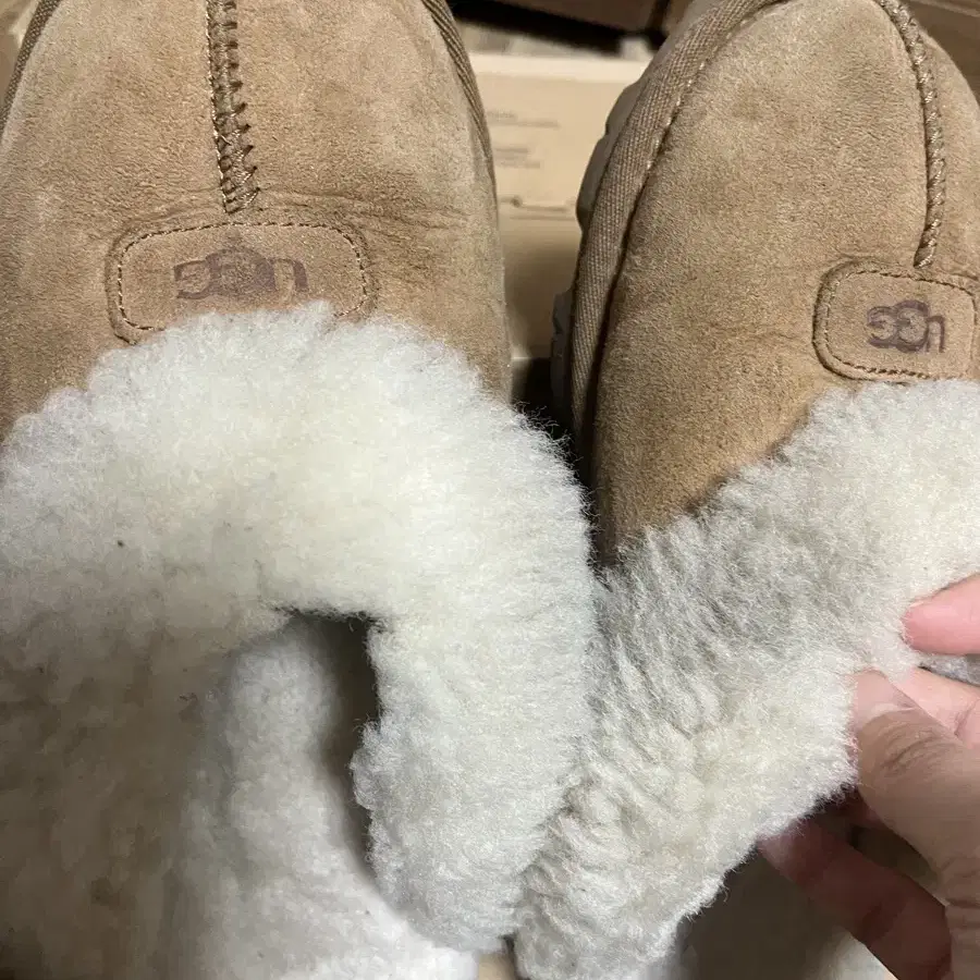 Ugg 어그 코케트