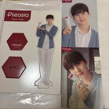 플레시아 팬미늄 3개 세트