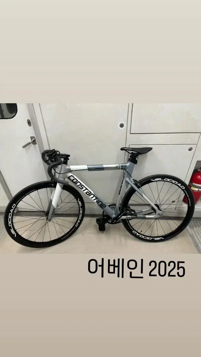 콘스탄틴 어베인 2025년식