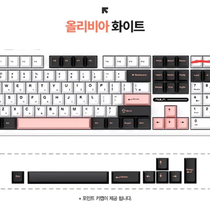 올리비아 화이트 핑크 키캡 104키+교체용 블랙 키캡