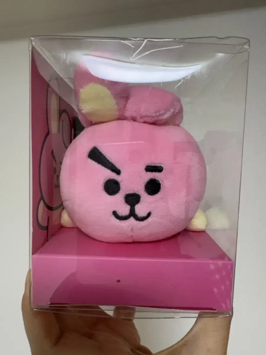 BT21 쿠키 마그넷라잉