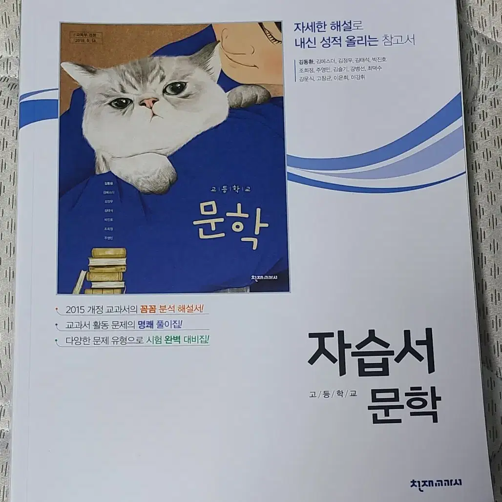 천재 교과서 문학 자습서